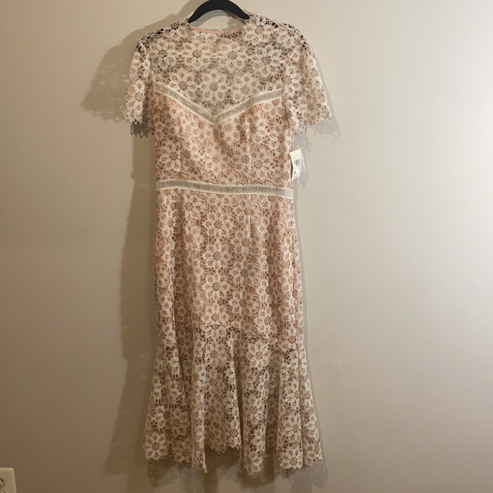 Sailor White Pink Cocktail Midi Lace Summer Dress New With Tags Wedding - Picture 4 of 8